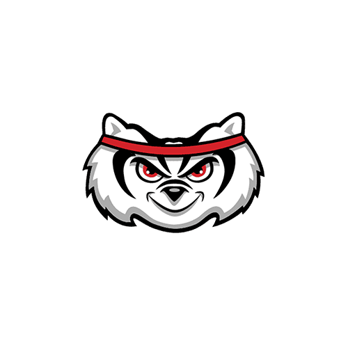 basketball head 001